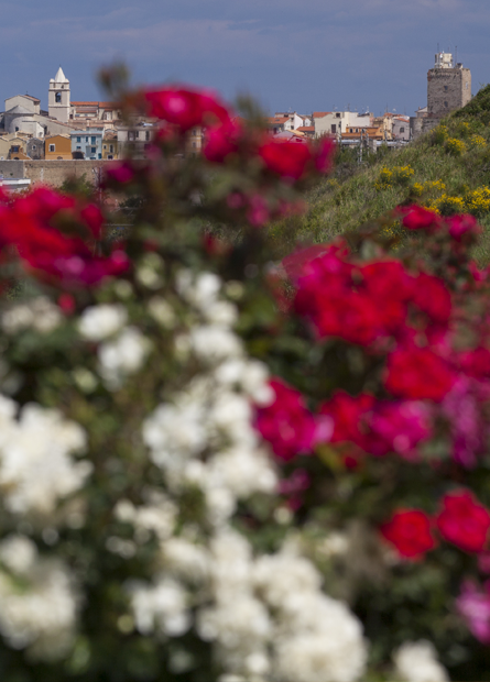 Termoli/Tremiti